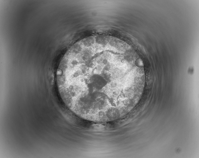X0000103130703200809191941