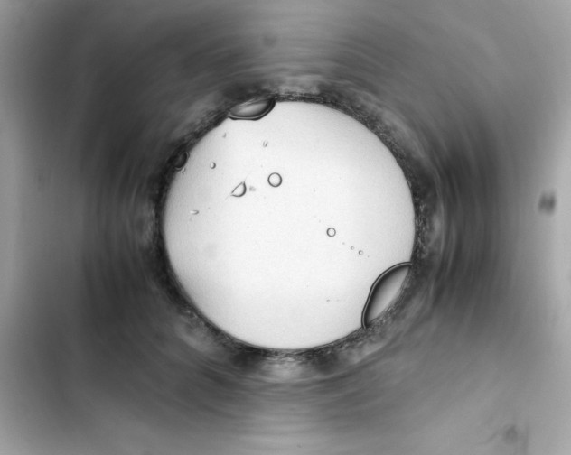 X0000103130704200809191941