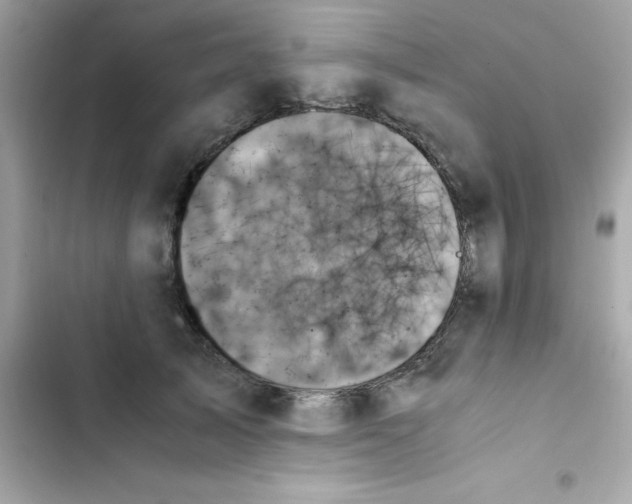 X0000103130705200809191941