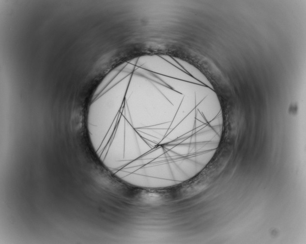 X0000103130706200809191941