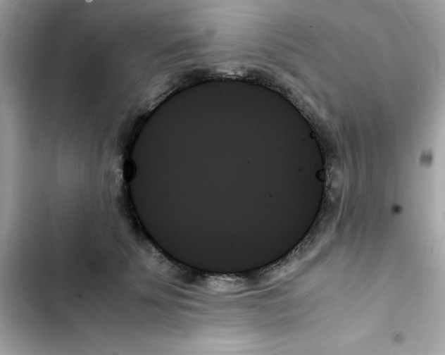 X0000103130707200809191941