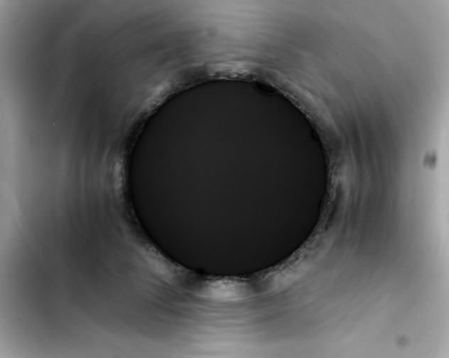 X0000103130708200809191941