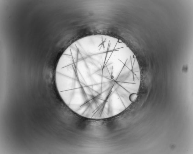 X0000103130709200809191941