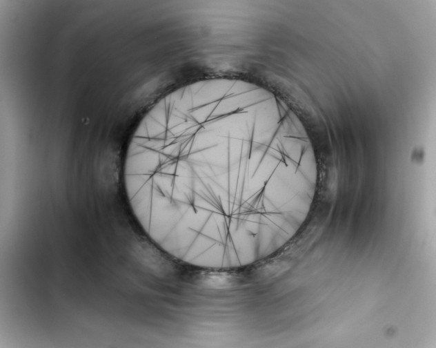 X0000103130710200809191941