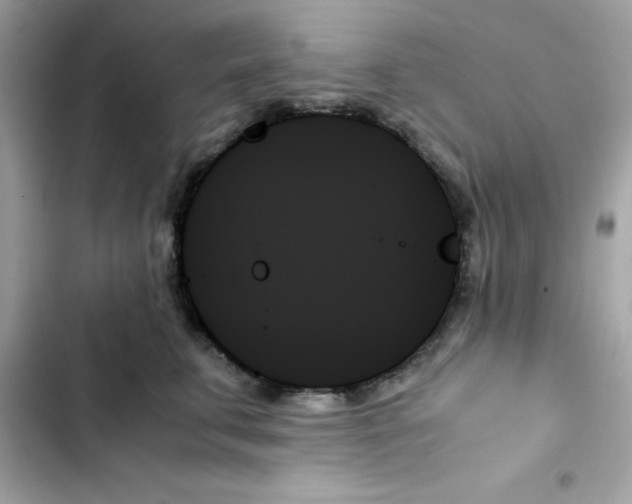 X0000103130711200809191941