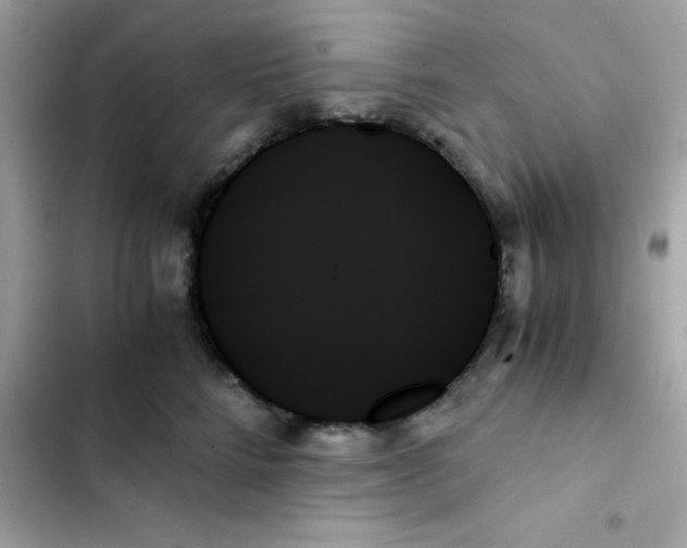 X0000103130712200809191941