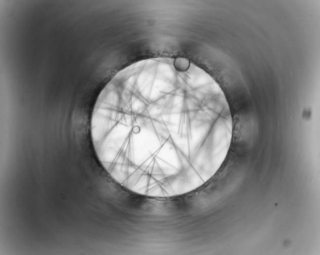 X0000103130713200809191941