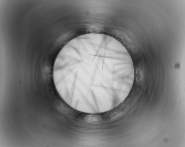 X0000103130714200809191941