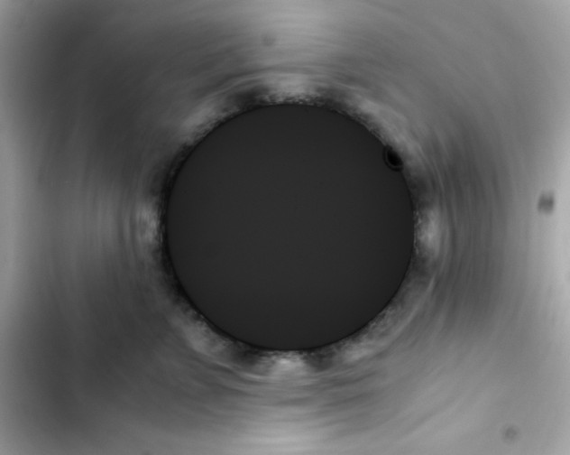 X0000103130715200809191941