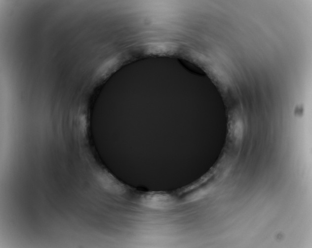 X0000103130716200809191941