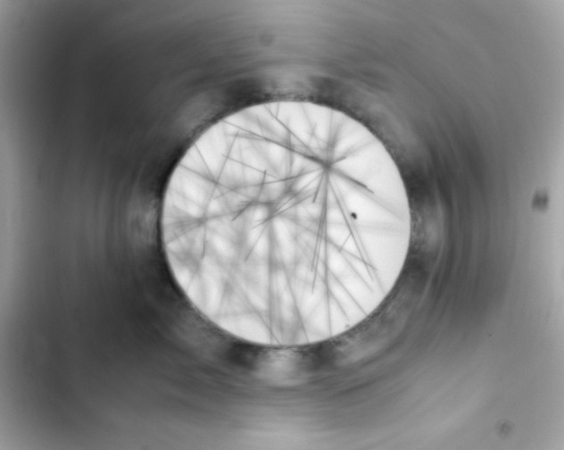 X0000103130717200809191941