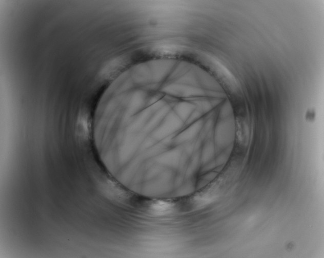 X0000103130718200809191941