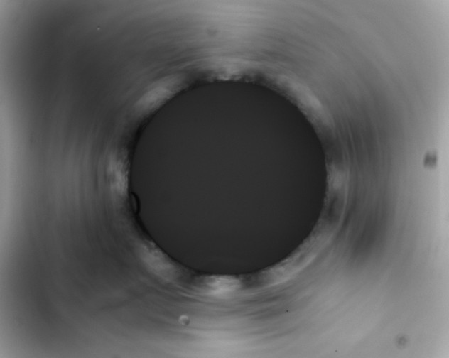 X0000103130719200809191941