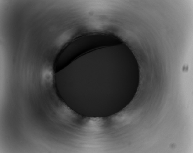 X0000103130720200809191941