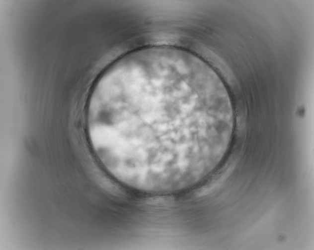 X0000103130721200809191940