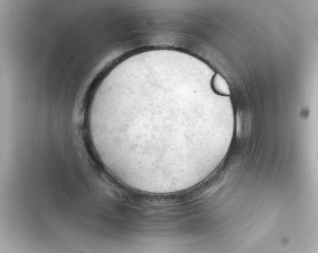 X0000103130723200809191940