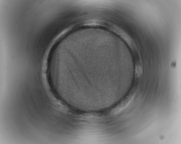 X0000103130724200809191940