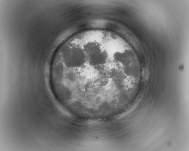 X0000103130725200809191940