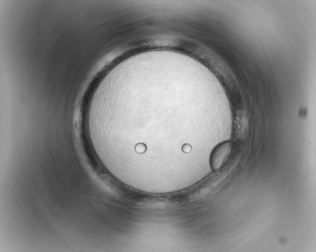 X0000103130726200809191940