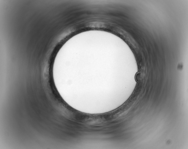 X0000103130727200809191940