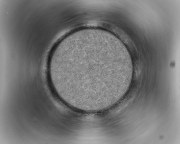 X0000103130728200809191940