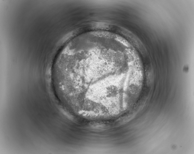 X0000103130729200809191940