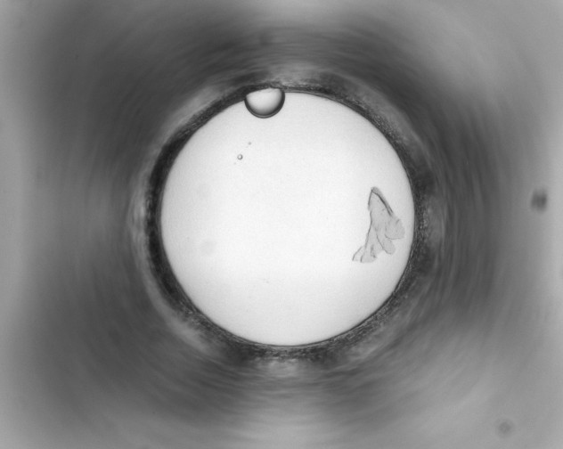 X0000103130730200809191940