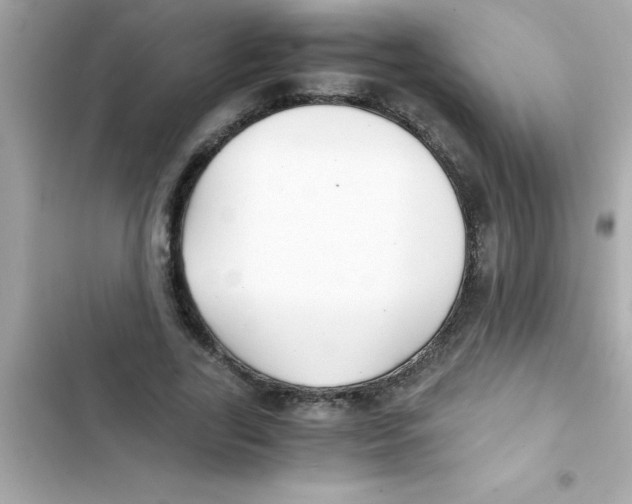 X0000103130731200809191940