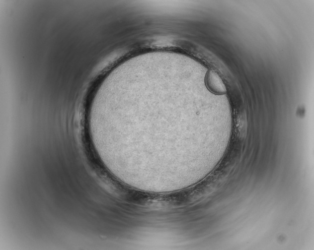 X0000103130732200809191940
