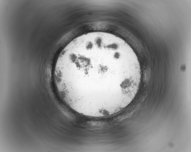 X0000103130733200809191940