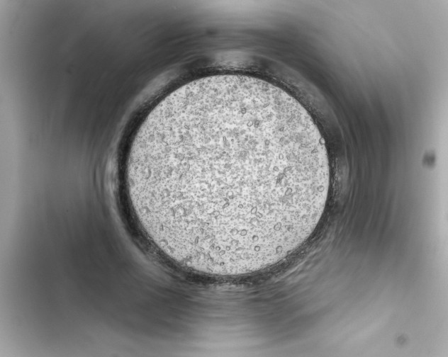 X0000103130734200809191940