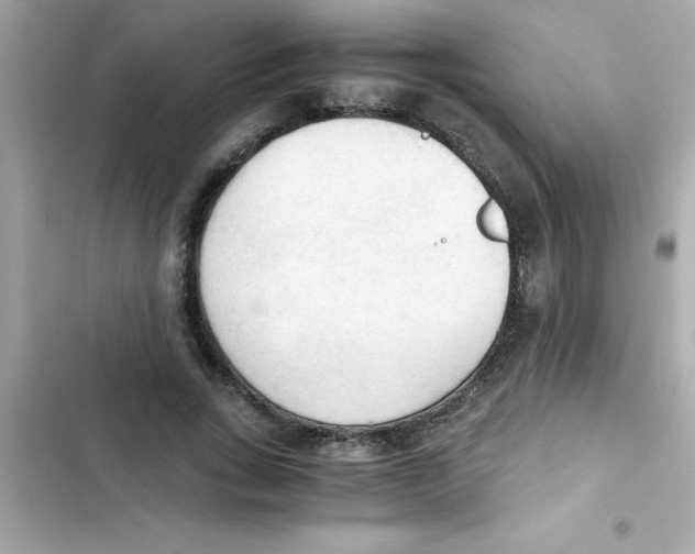 X0000103130735200809191940