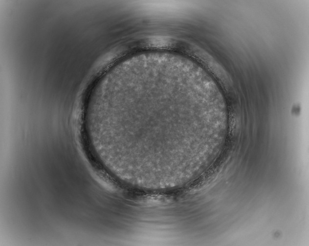 X0000103130736200809191941