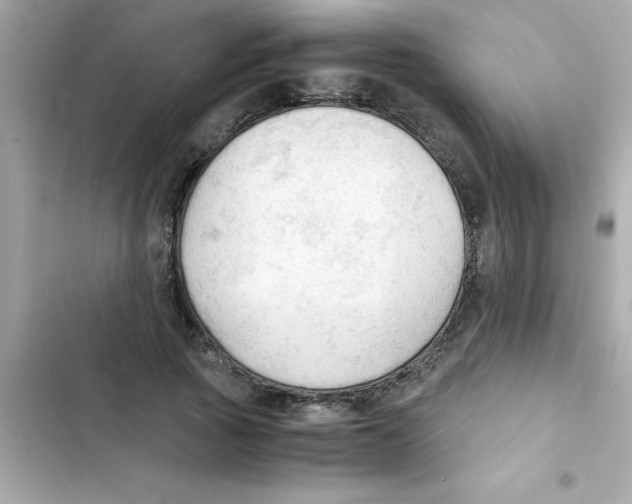 X0000103130737200809191941