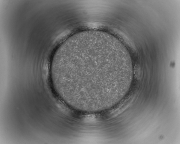 X0000103130740200809191941