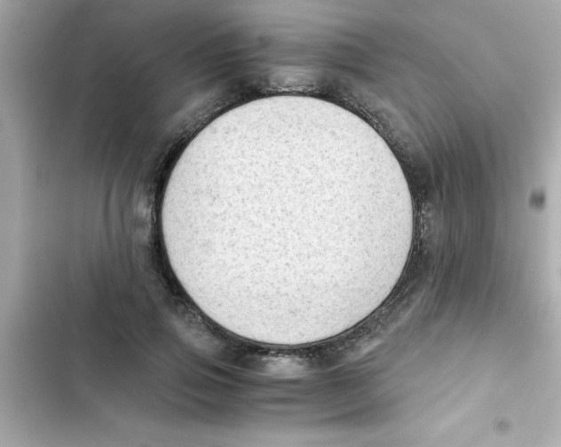 X0000103130741200809191941