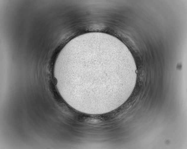 X0000103130743200809191941