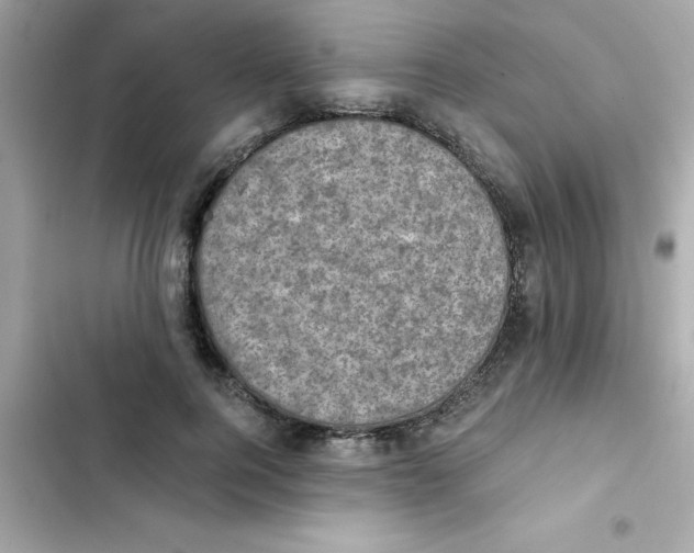 X0000103130744200809191941