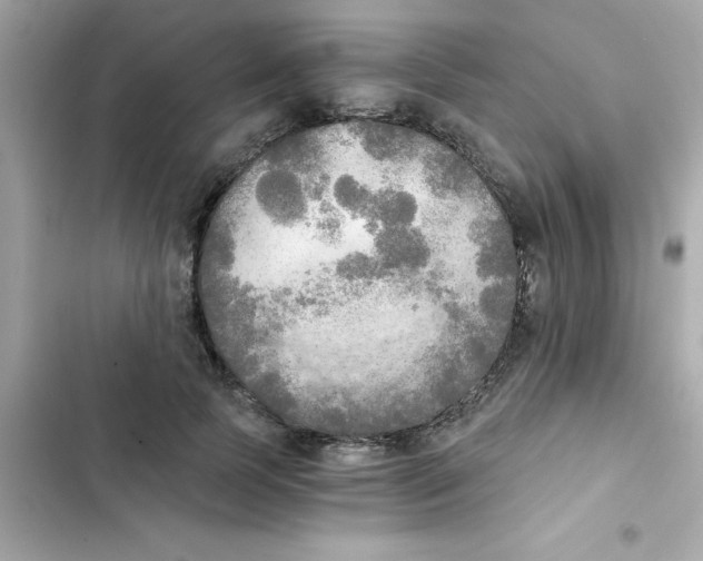 X0000103130745200809191941
