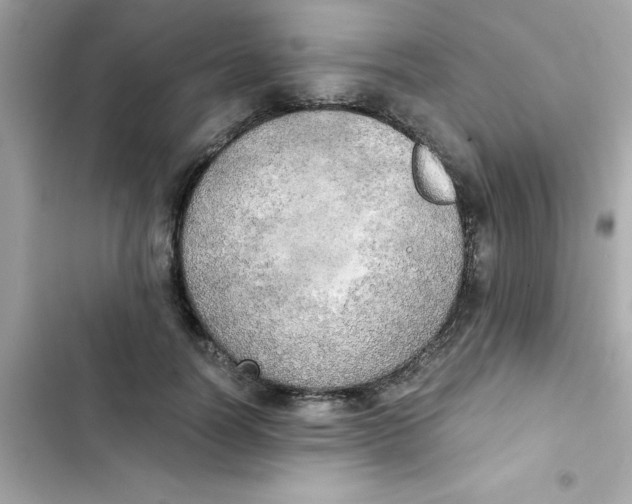 X0000103130746200809191941