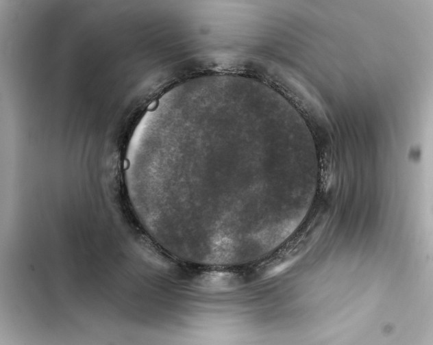 X0000103130748200809191941