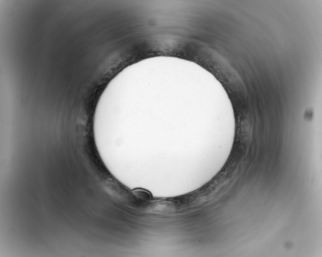 X0000103130750200809191941