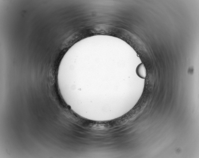 X0000103130751200809191941