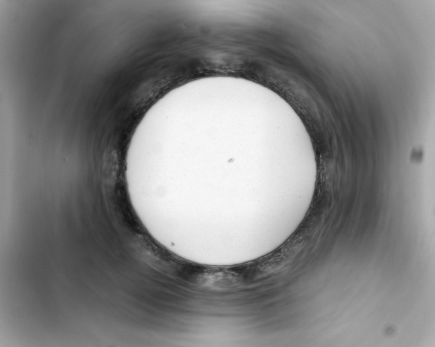 X0000103130752200809191941