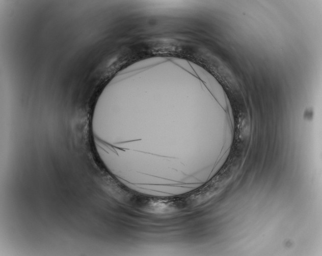 X0000103130753200809191941