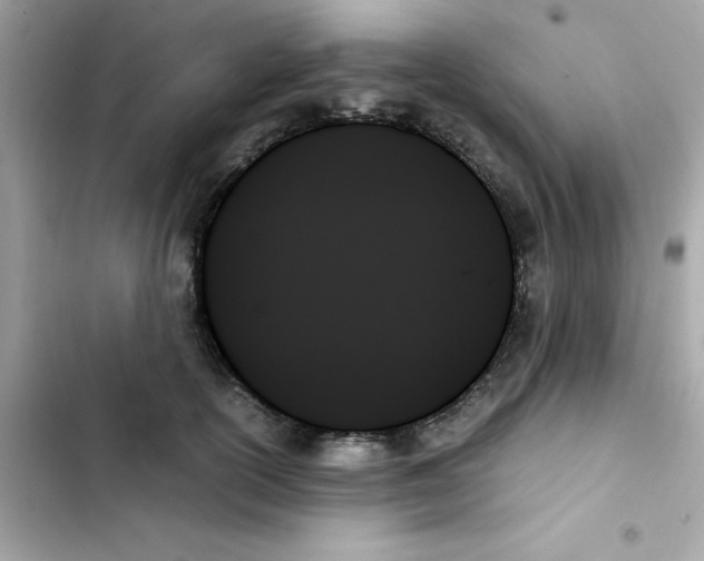 X0000103130754200809191941