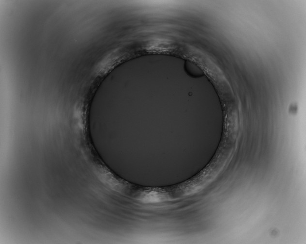 X0000103130755200809191941