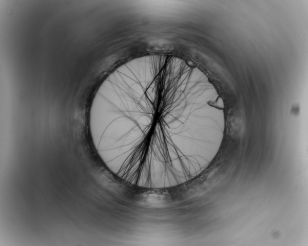 X0000103130756200809191941