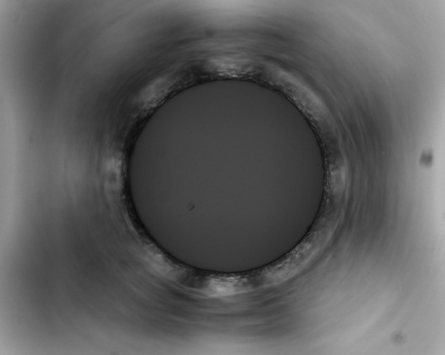 X0000103130757200809191941