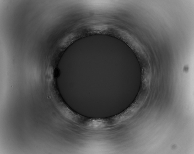 X0000103130758200809191941